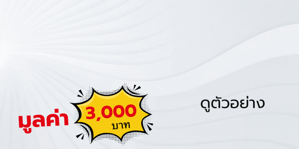 เว็บไซต์ เซลเพจ Website salepage pixel conversion รับทำเว็บไซต์ รับทำเซลเพจ