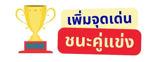 เว็บไซต์ เซลเพจ Website salepage pixel conversion รับทำเว็บไซต์ รับทำเซลเพจ